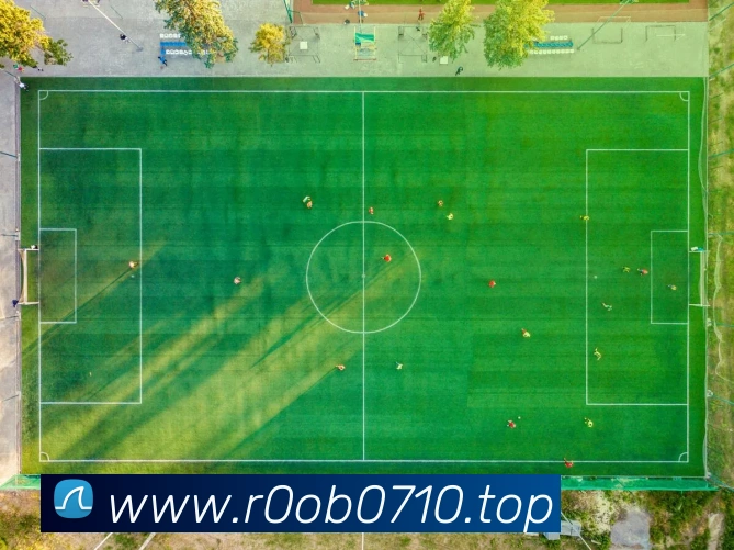 App Interface Preview